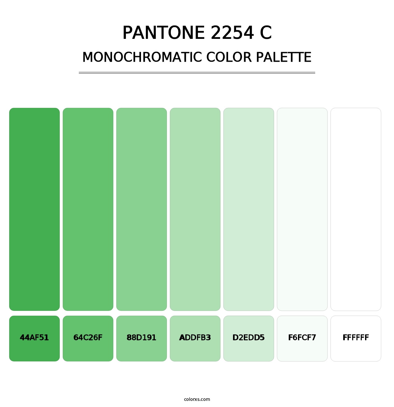 PANTONE 2254 C - Monochromatic Color Palette