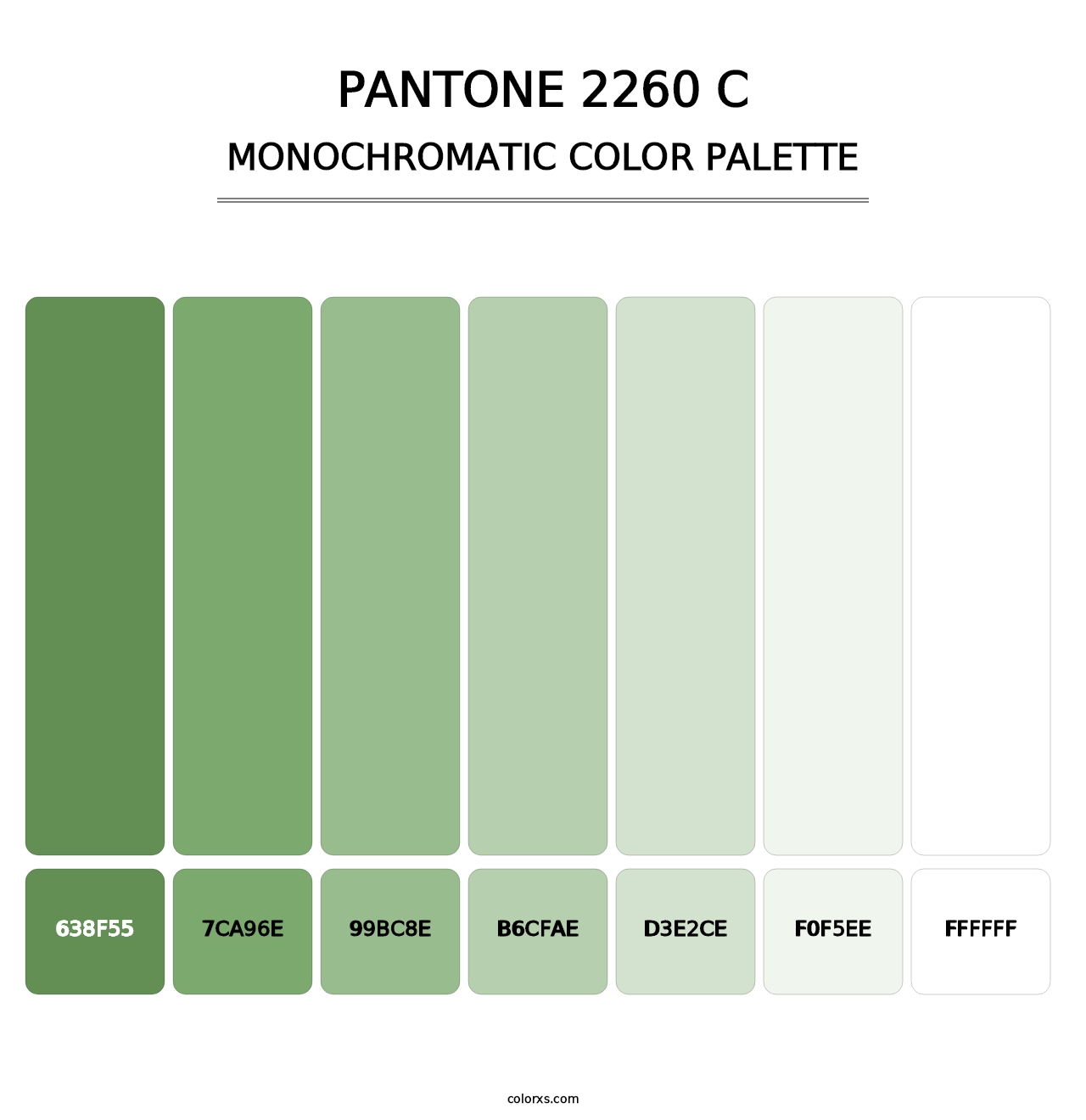 PANTONE 2260 C - Monochromatic Color Palette