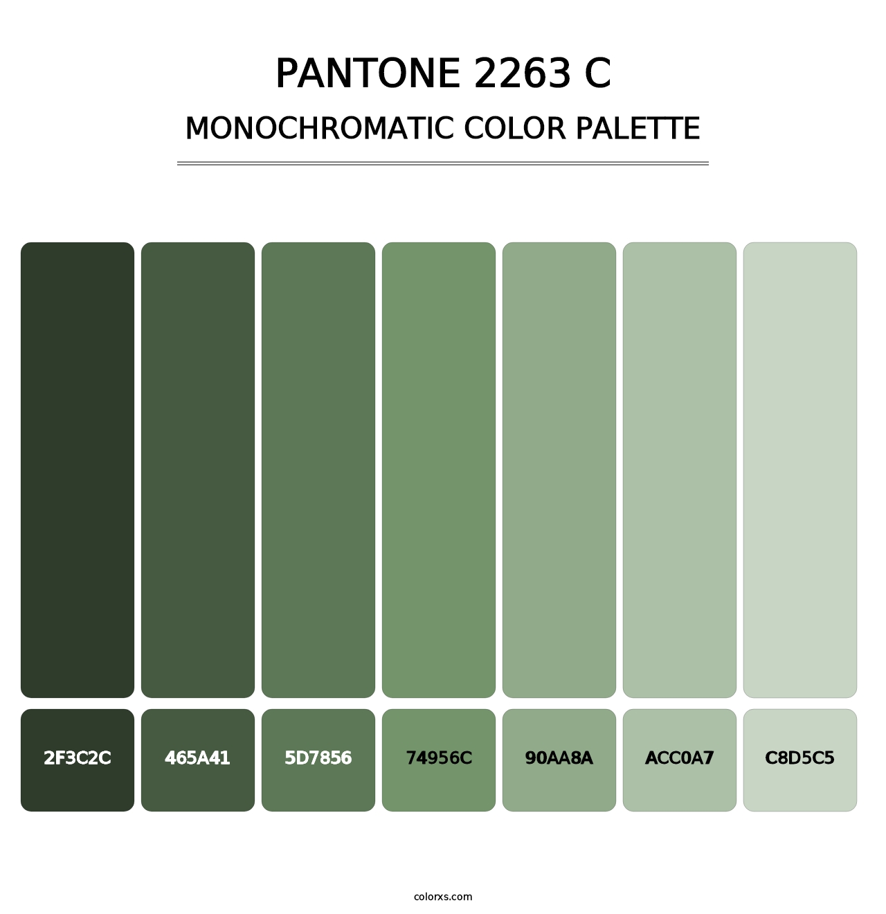 PANTONE 2263 C - Monochromatic Color Palette