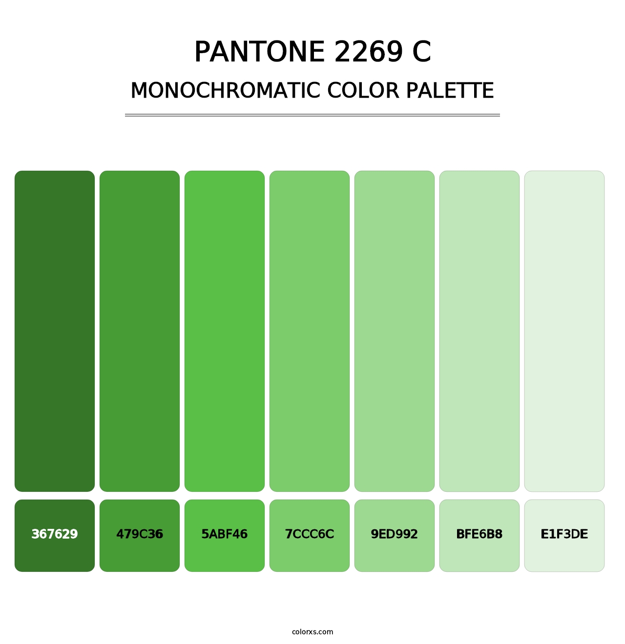 PANTONE 2269 C - Monochromatic Color Palette