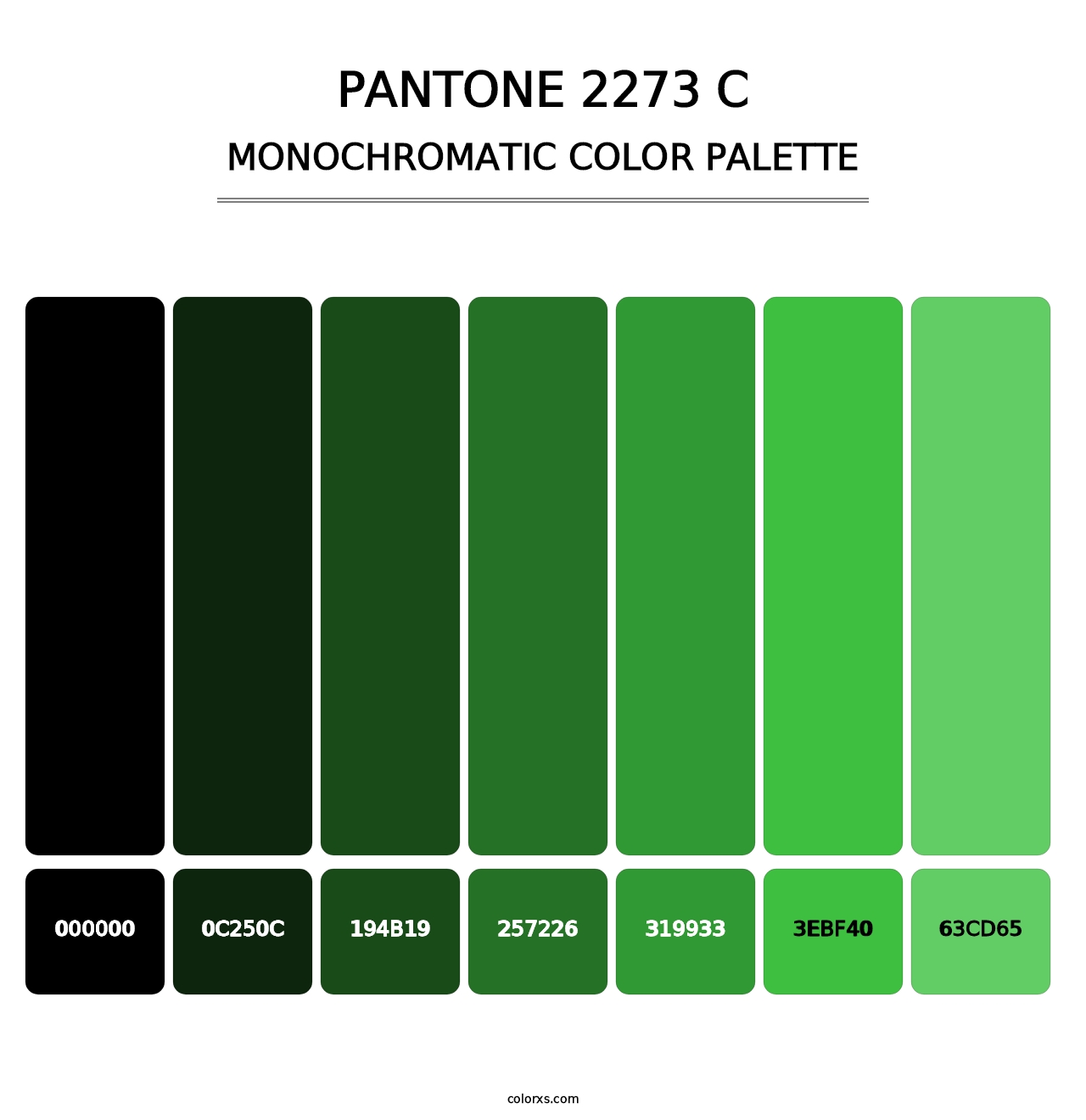 PANTONE 2273 C - Monochromatic Color Palette