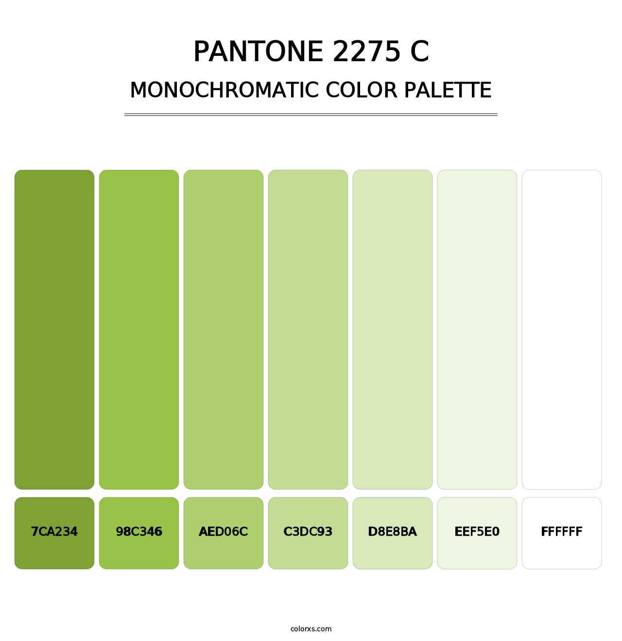 PANTONE 2275 C - Monochromatic Color Palette