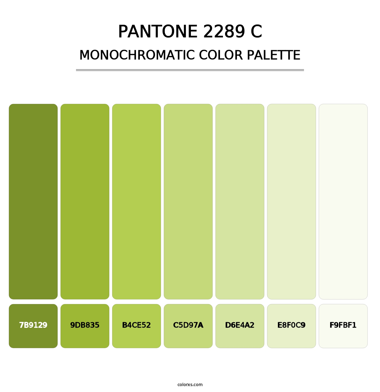 PANTONE 2289 C - Monochromatic Color Palette
