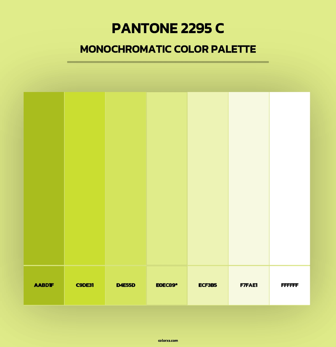 PANTONE 2295 C - Monochromatic Color Palette