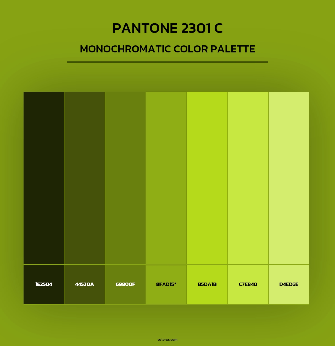 PANTONE 2301 C - Monochromatic Color Palette