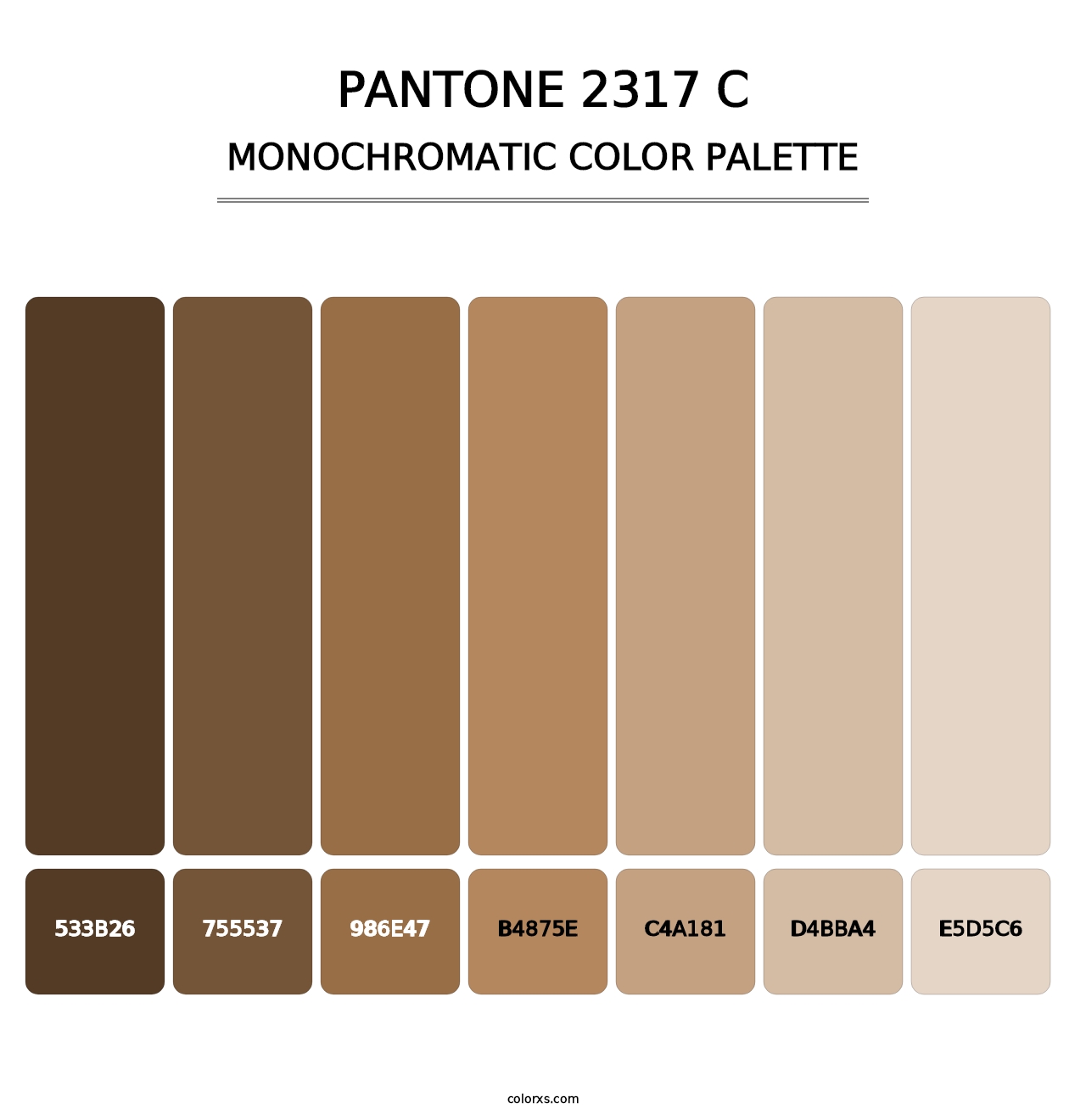 PANTONE 2317 C - Monochromatic Color Palette