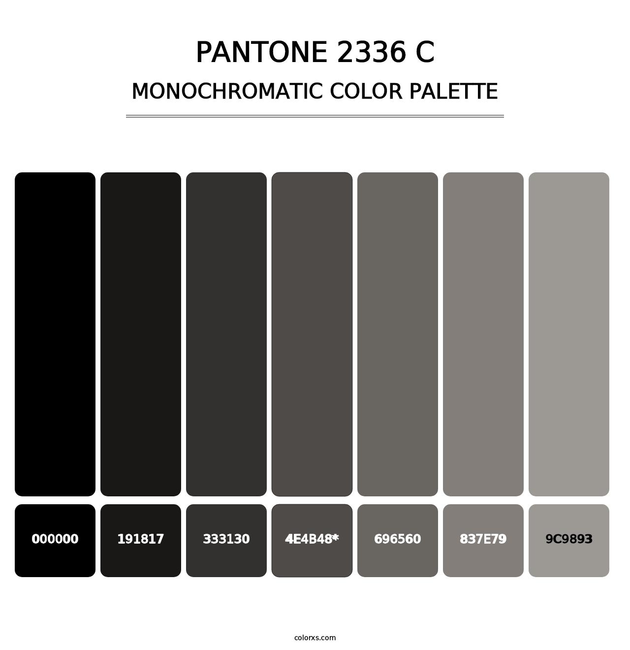 PANTONE 2336 C - Monochromatic Color Palette