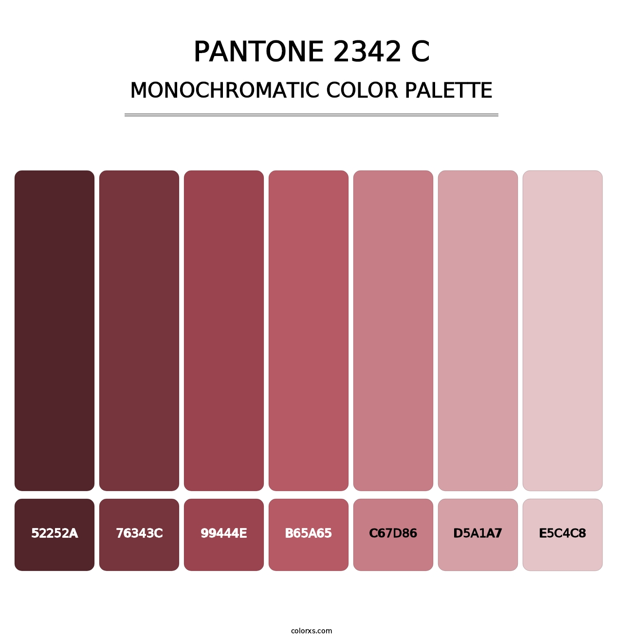 PANTONE 2342 C - Monochromatic Color Palette