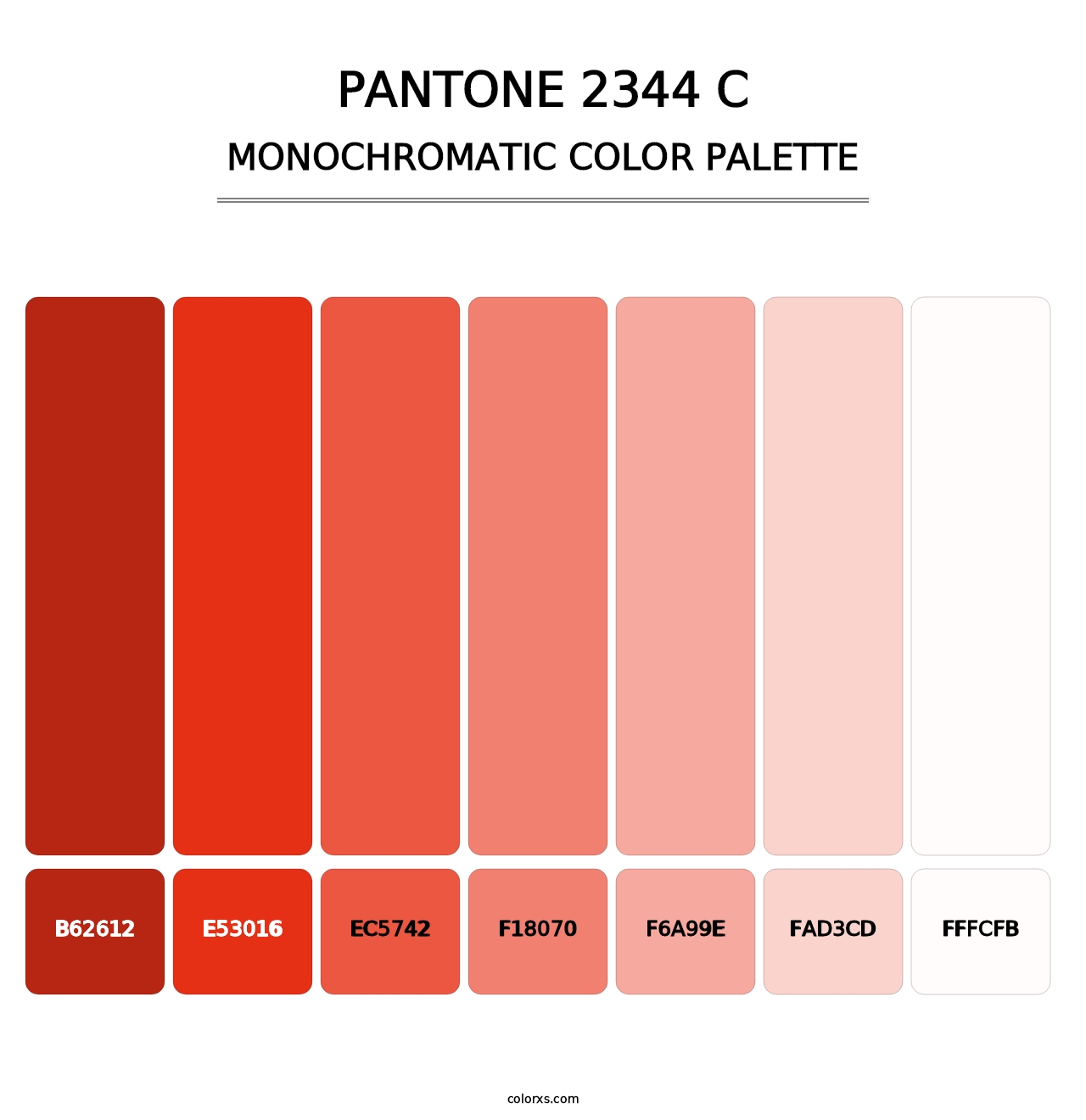 PANTONE 2344 C - Monochromatic Color Palette