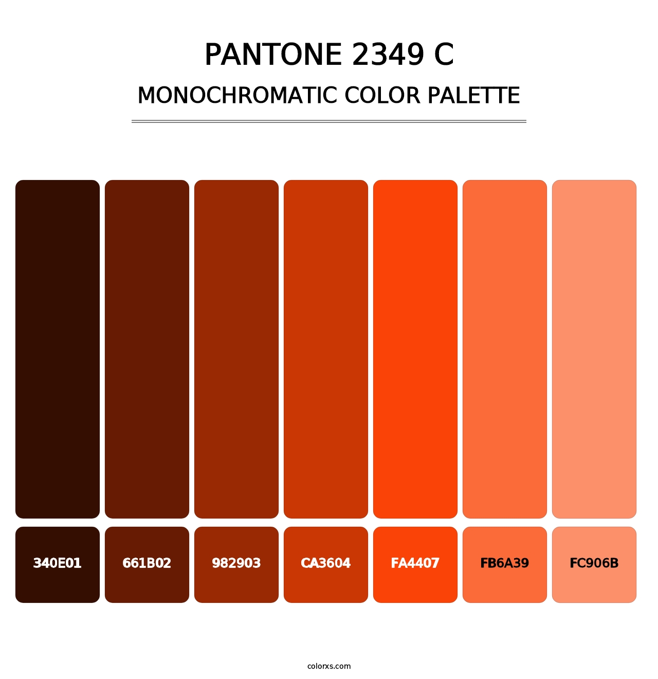 PANTONE 2349 C - Monochromatic Color Palette