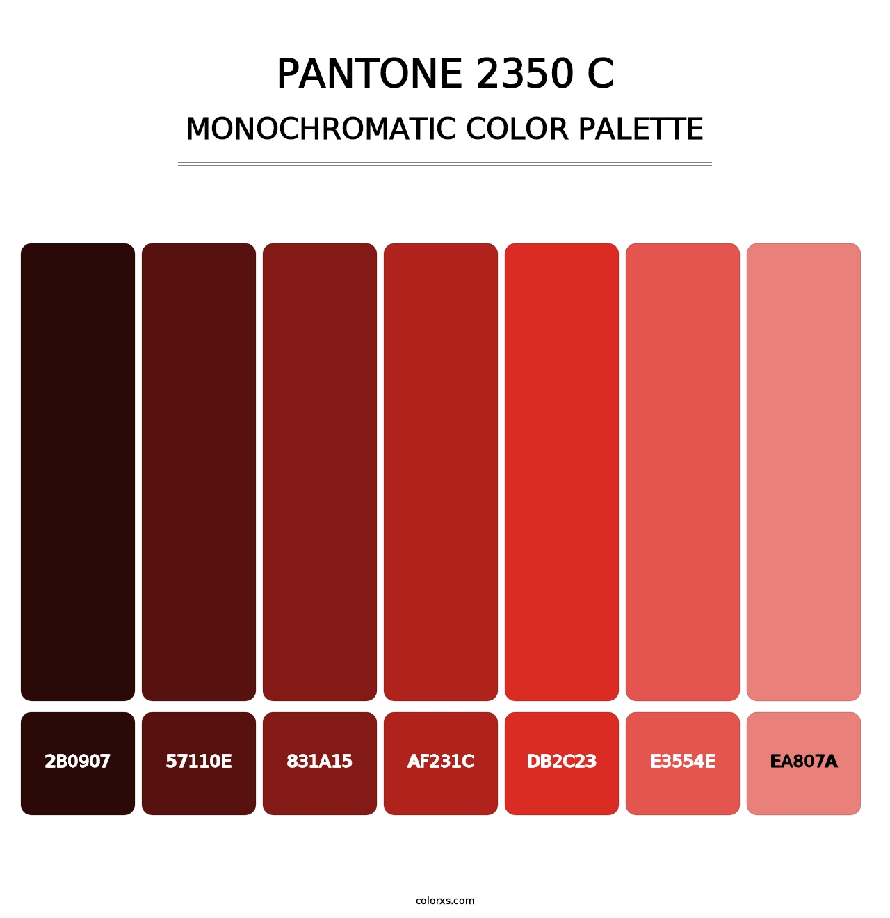 PANTONE 2350 C - Monochromatic Color Palette
