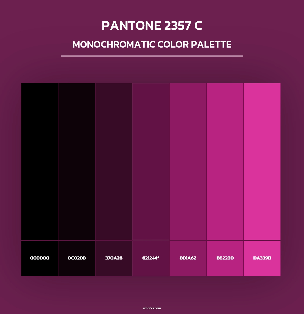 PANTONE 2357 C - Monochromatic Color Palette
