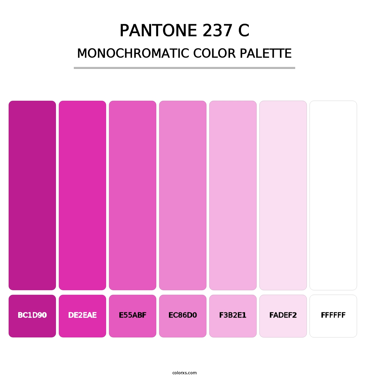 PANTONE 237 C - Monochromatic Color Palette