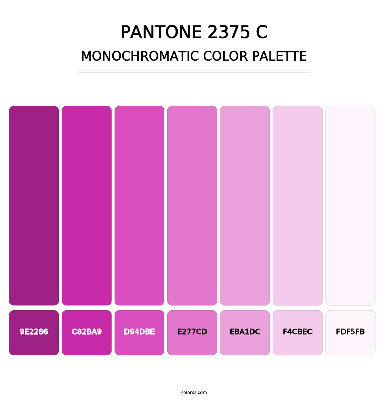 PANTONE 2375 C - Monochromatic Color Palette