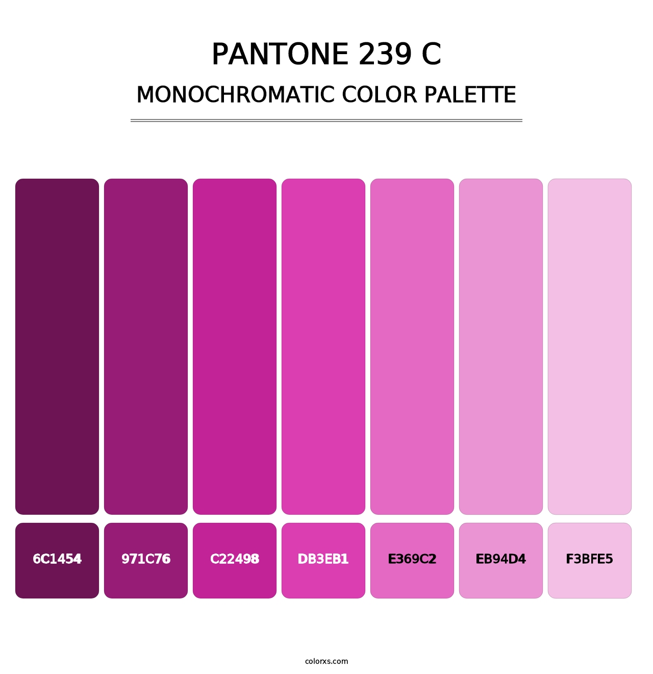 PANTONE 239 C - Monochromatic Color Palette