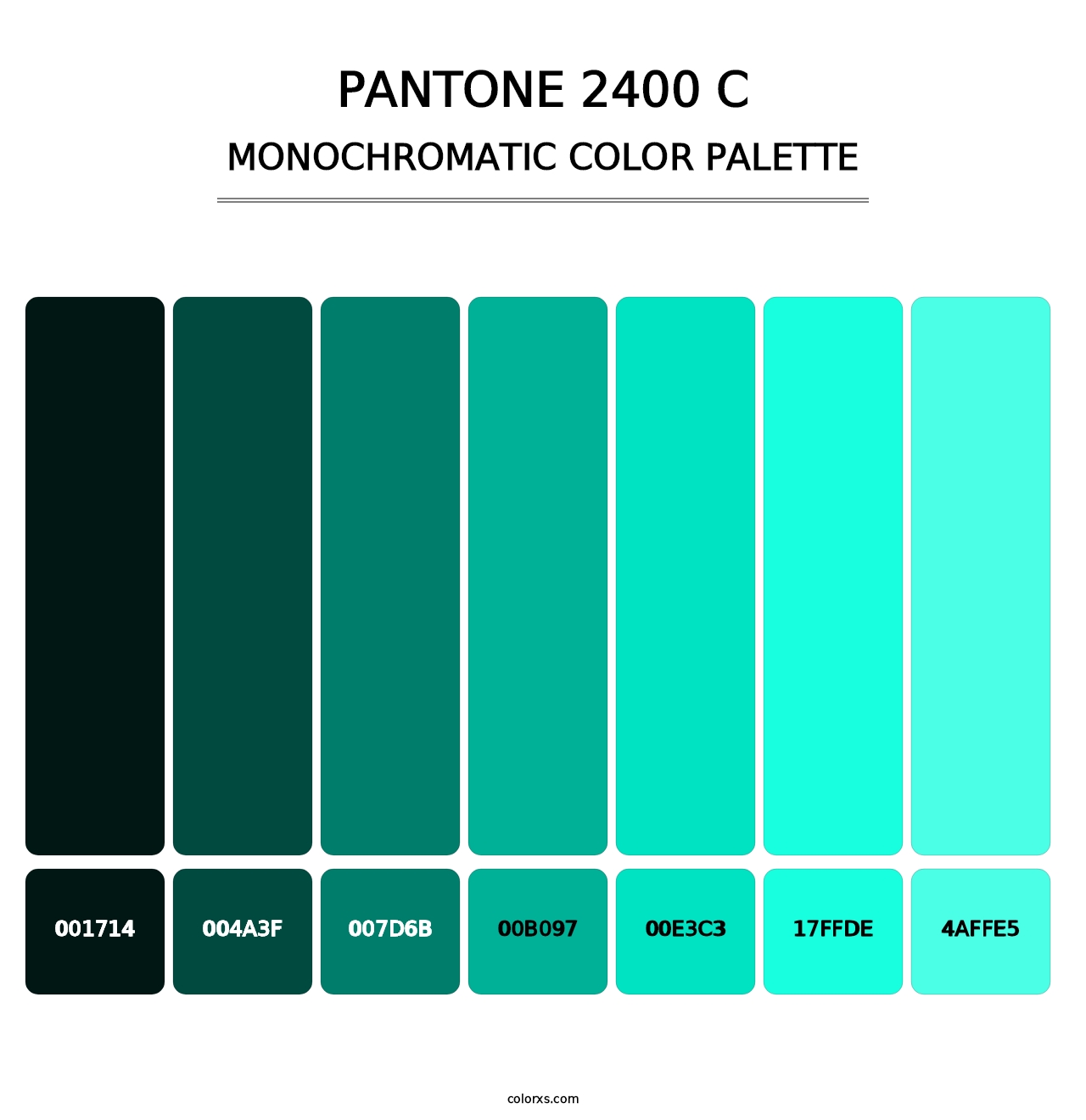 PANTONE 2400 C - Monochromatic Color Palette