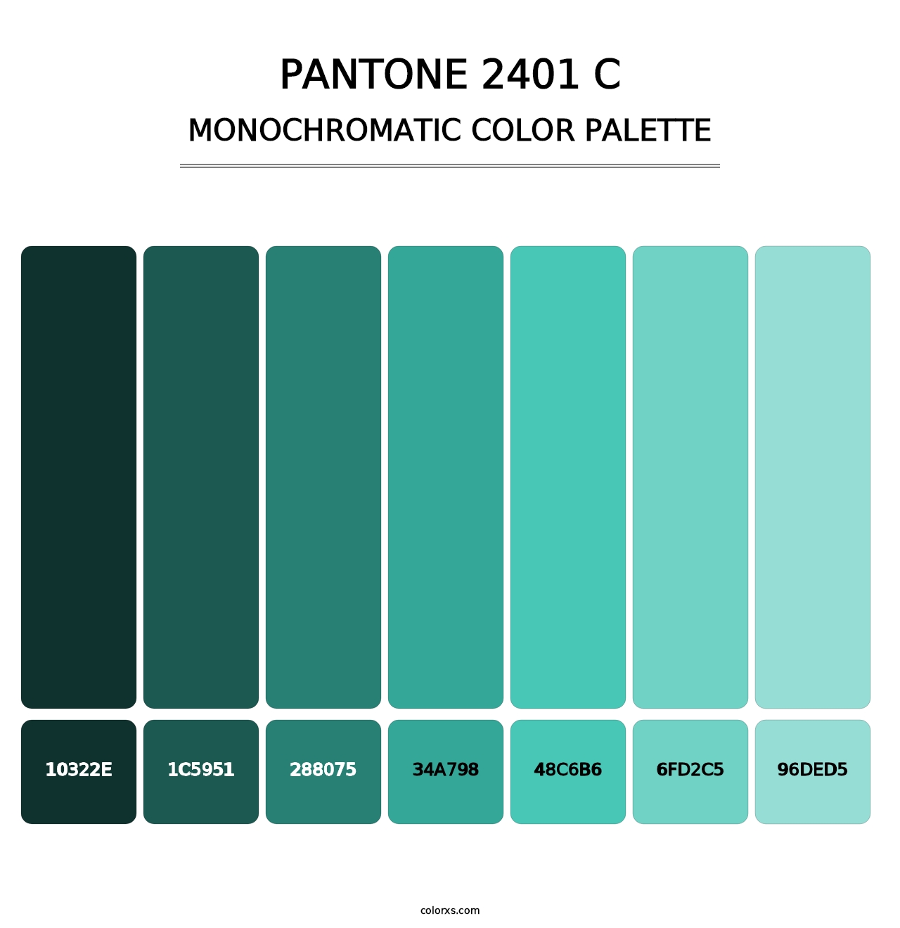 PANTONE 2401 C - Monochromatic Color Palette