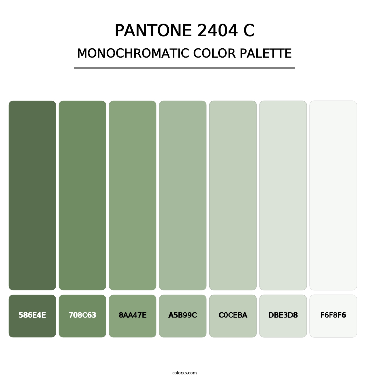 PANTONE 2404 C - Monochromatic Color Palette