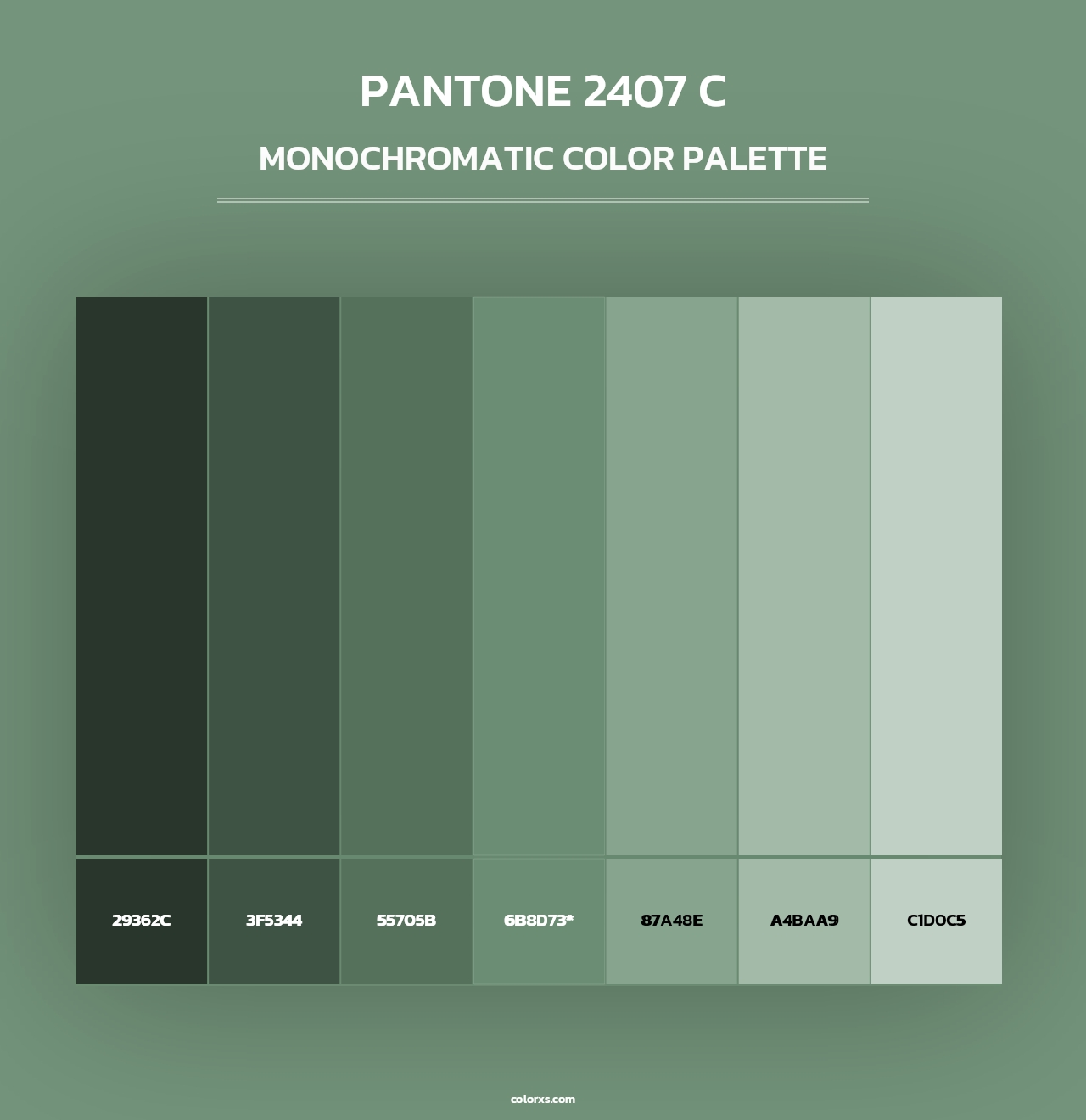 PANTONE 2407 C - Monochromatic Color Palette