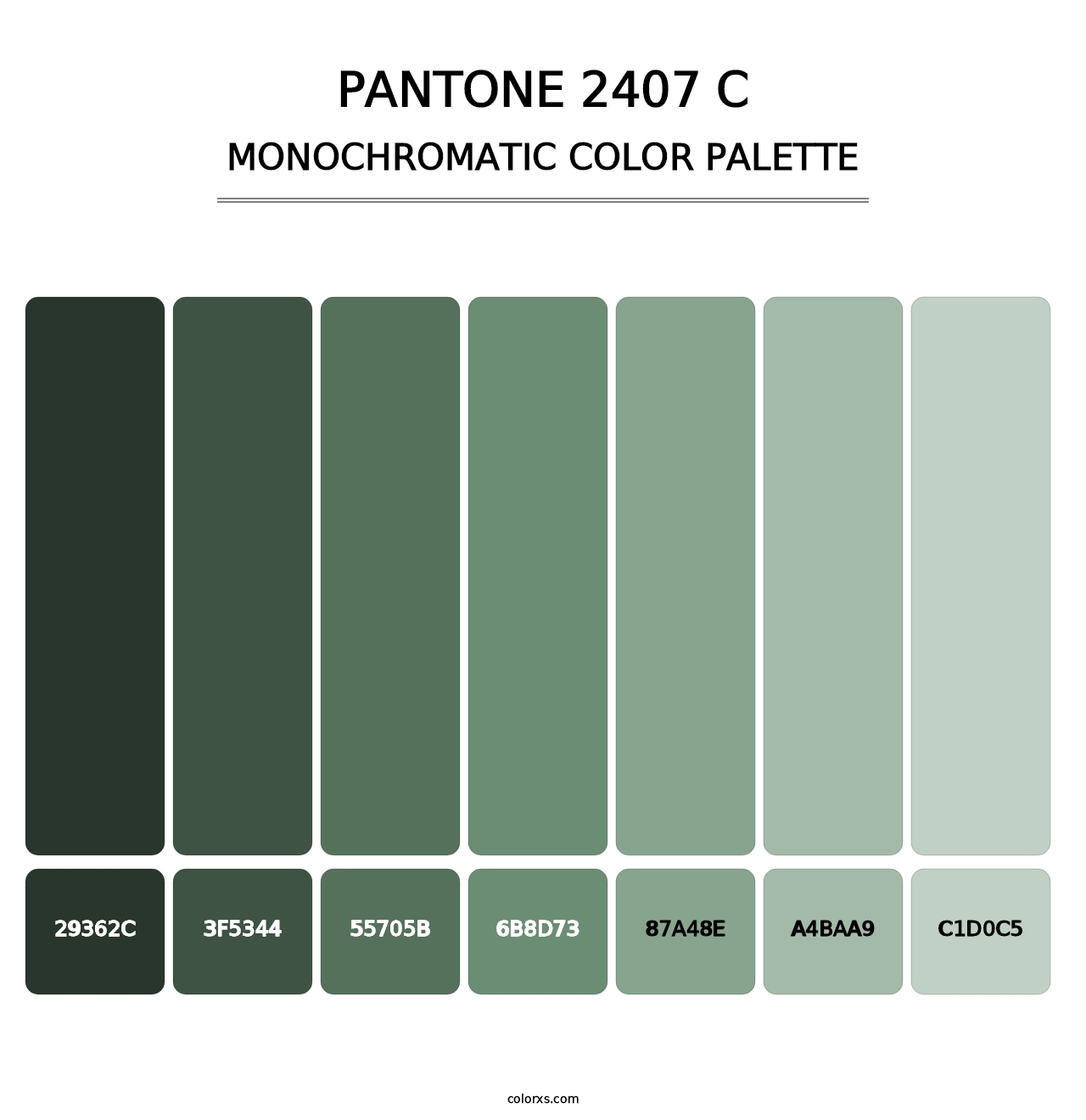 PANTONE 2407 C - Monochromatic Color Palette