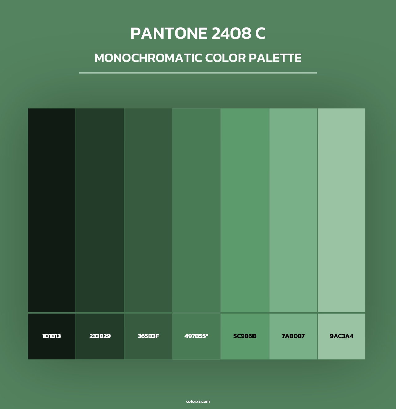 PANTONE 2408 C - Monochromatic Color Palette