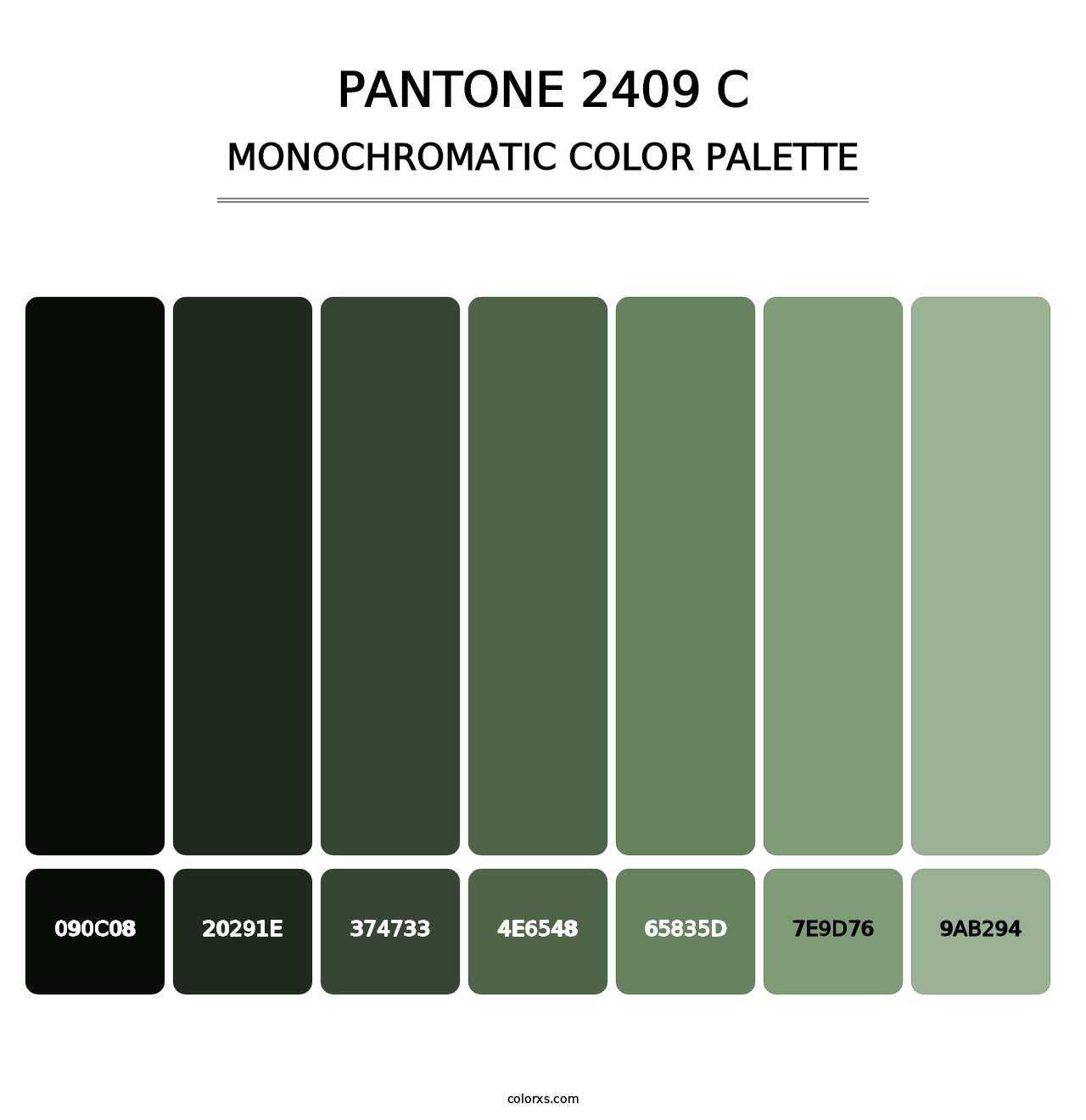PANTONE 2409 C - Monochromatic Color Palette