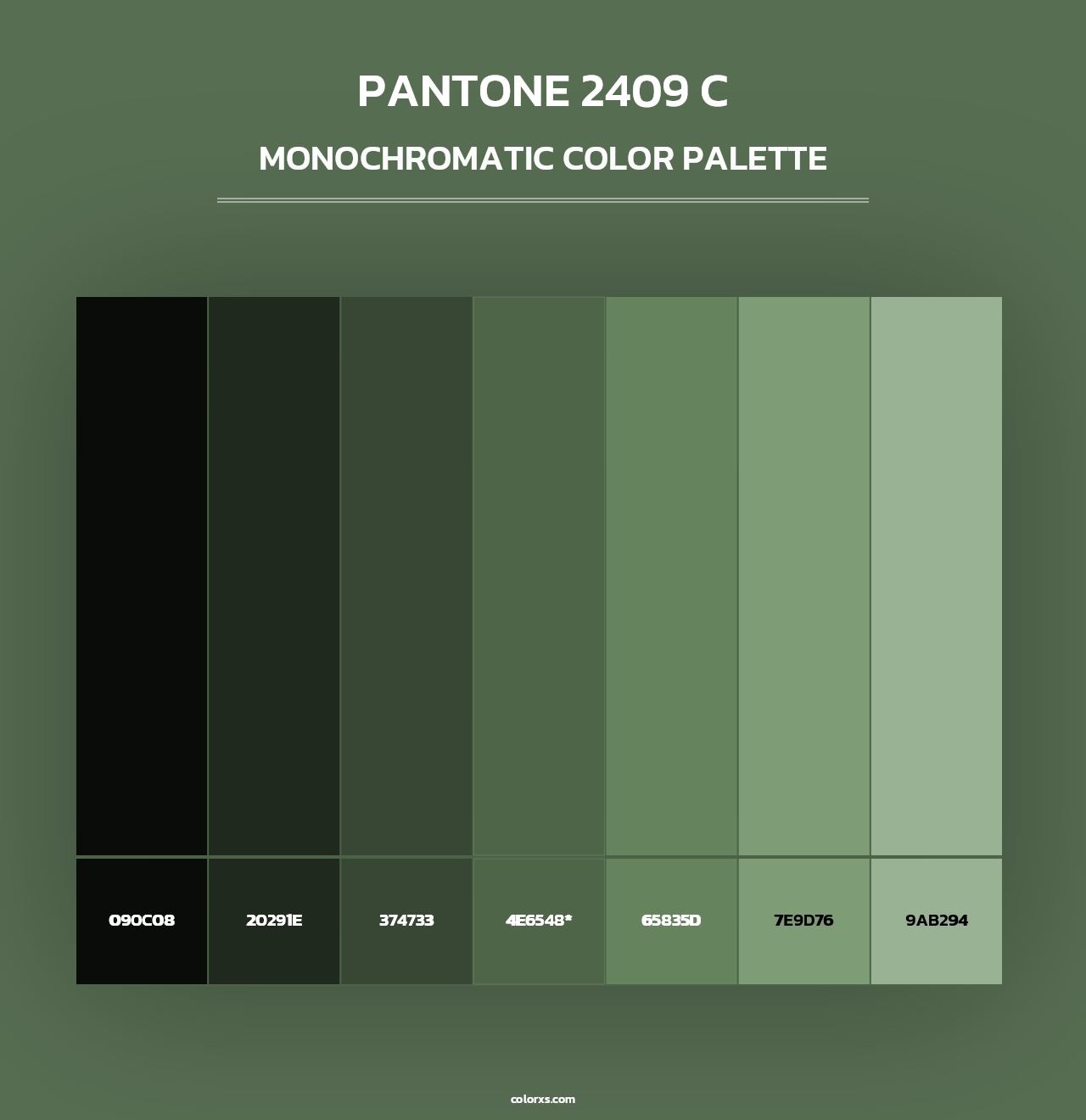 PANTONE 2409 C - Monochromatic Color Palette