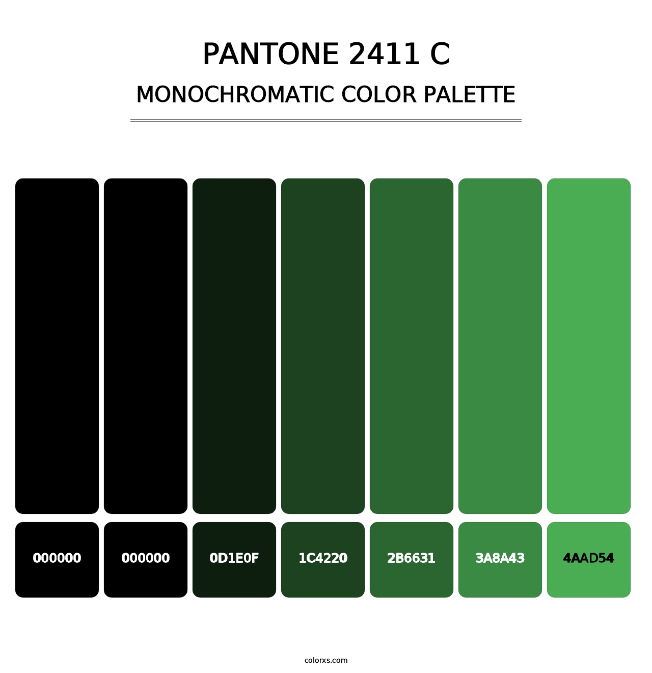 PANTONE 2411 C - Monochromatic Color Palette