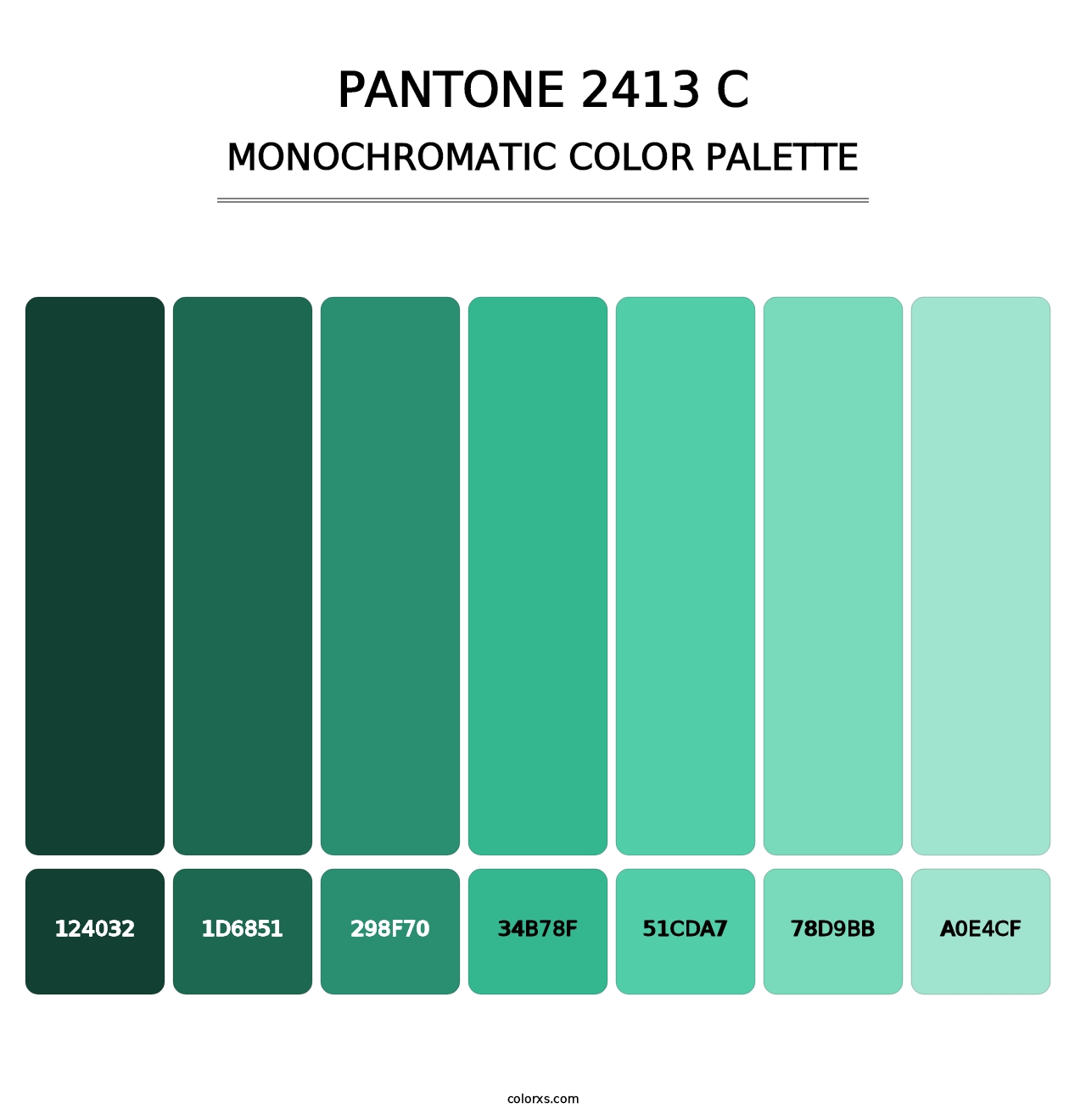 PANTONE 2413 C - Monochromatic Color Palette