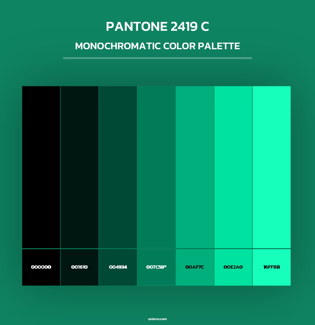 PANTONE 2419 C - Monochromatic Color Palette