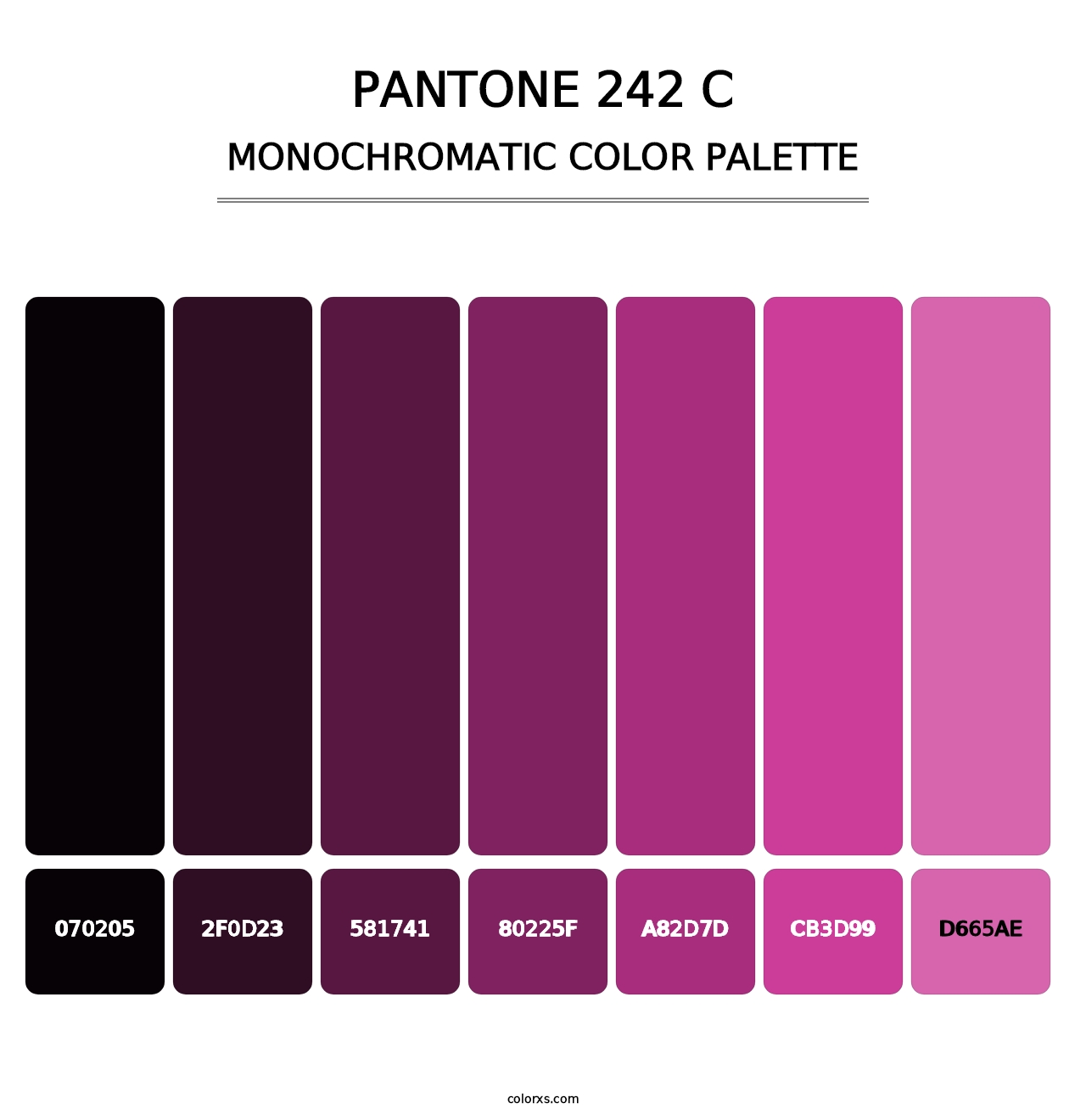 PANTONE 242 C - Monochromatic Color Palette