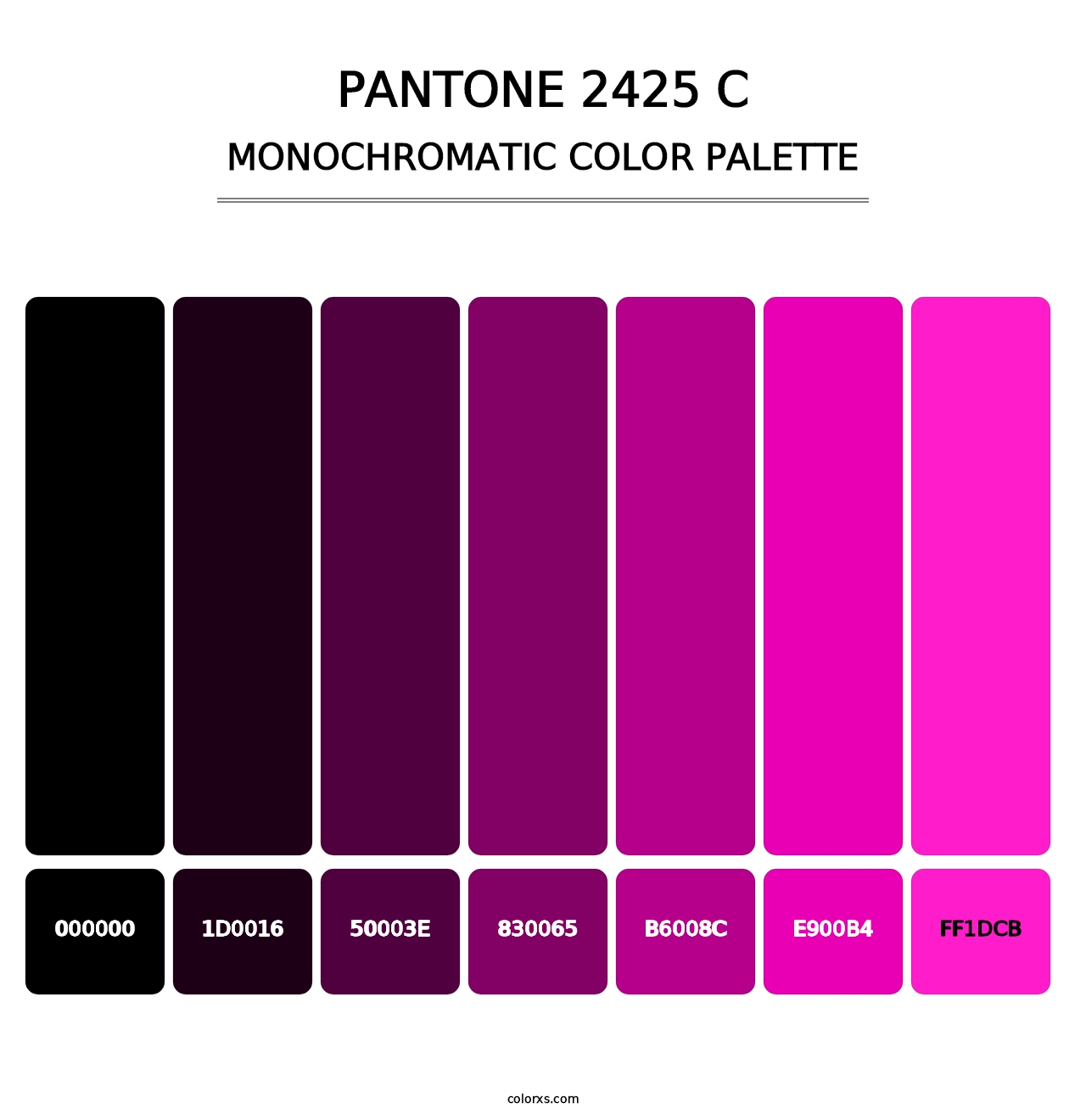 PANTONE 2425 C - Monochromatic Color Palette