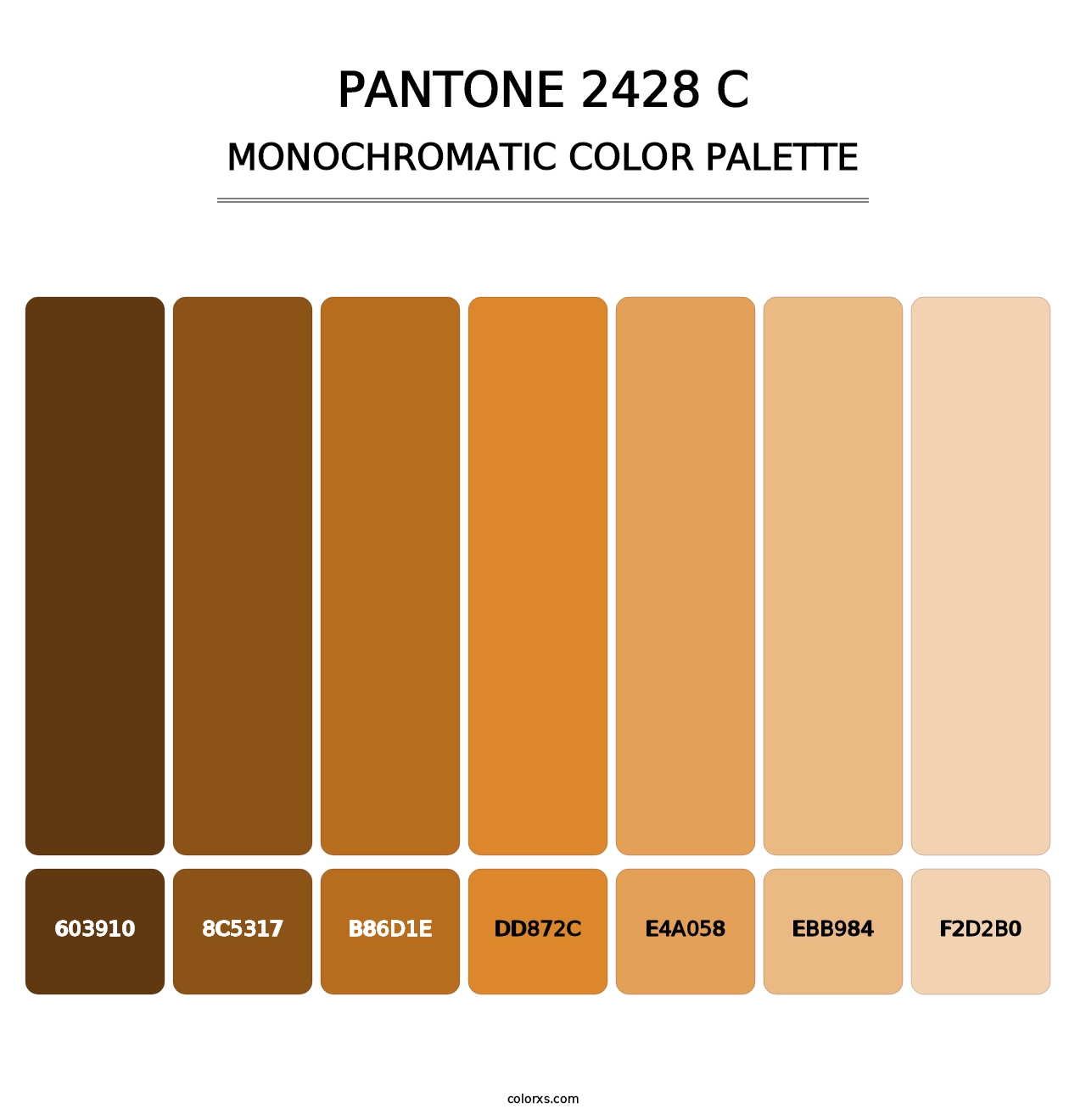 PANTONE 2428 C - Monochromatic Color Palette