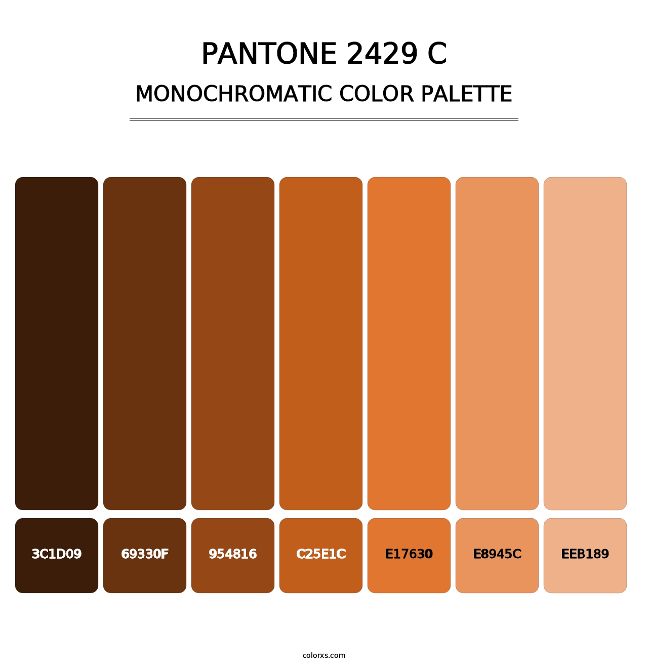 PANTONE 2429 C - Monochromatic Color Palette