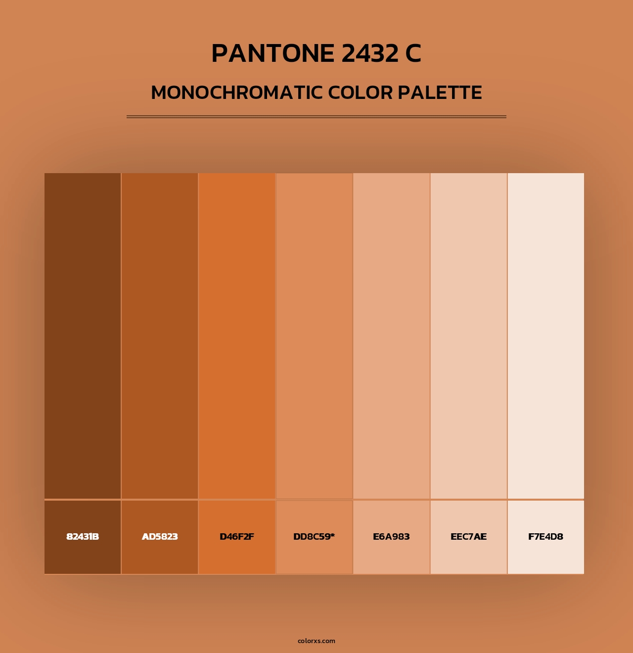 PANTONE 2432 C - Monochromatic Color Palette