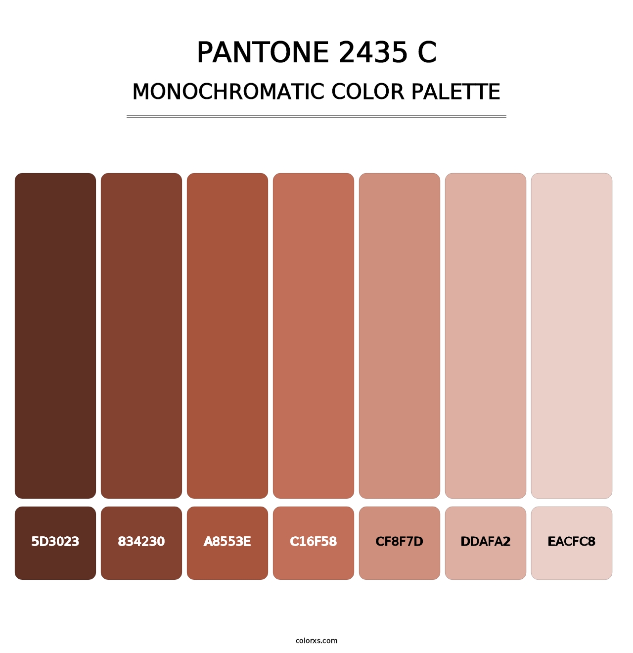 PANTONE 2435 C - Monochromatic Color Palette
