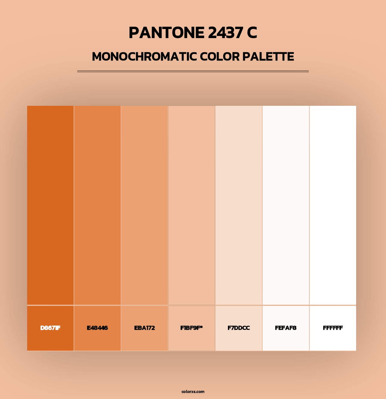 PANTONE 2437 C - Monochromatic Color Palette