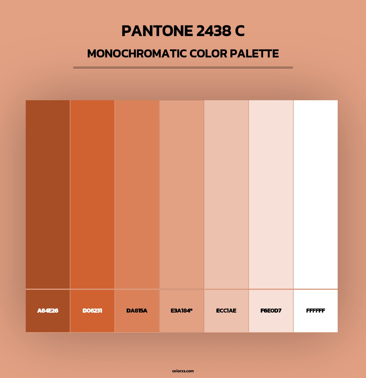 PANTONE 2438 C - Monochromatic Color Palette