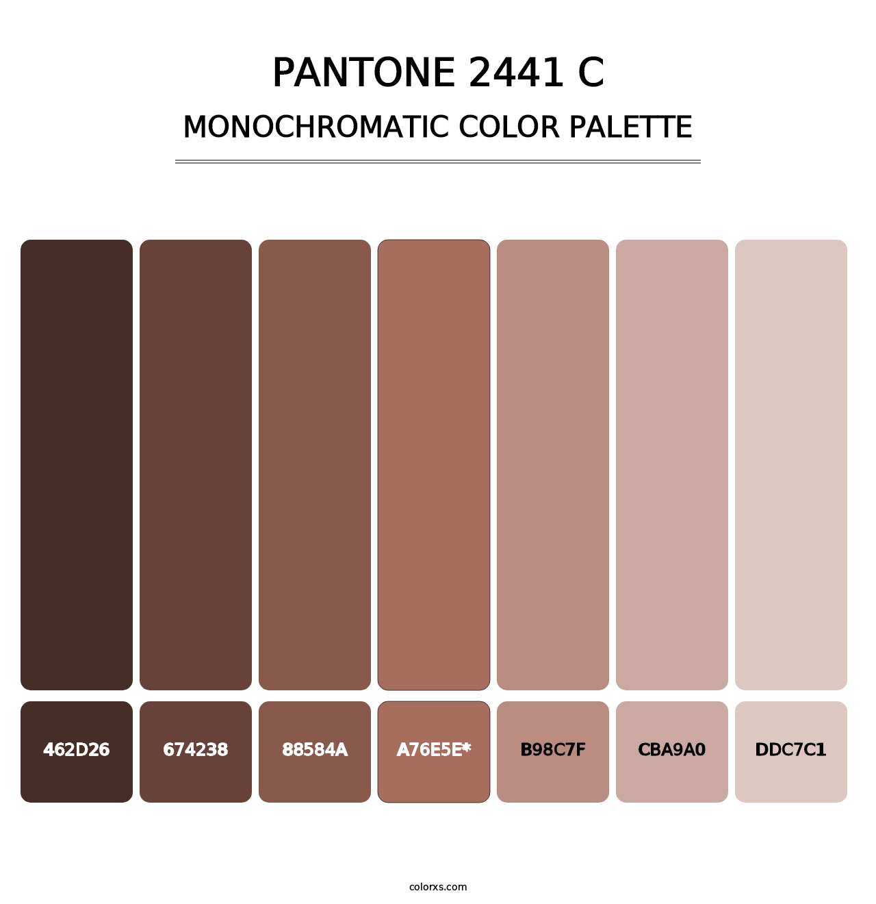 PANTONE 2441 C - Monochromatic Color Palette