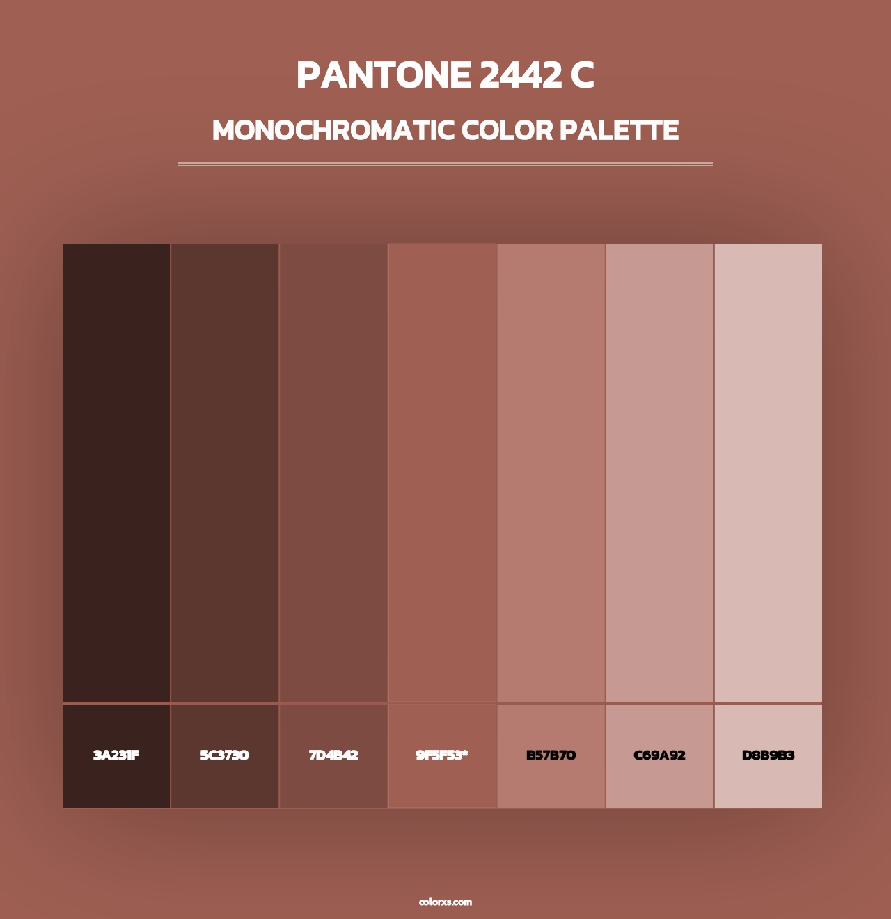 PANTONE 2442 C - Monochromatic Color Palette