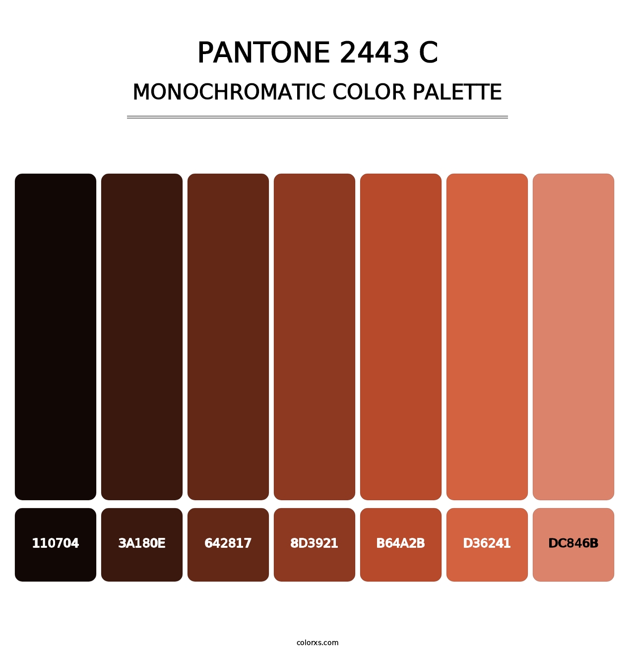 PANTONE 2443 C - Monochromatic Color Palette