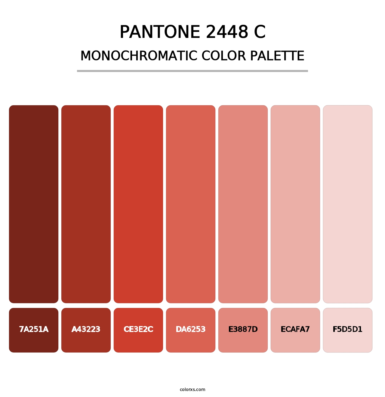 PANTONE 2448 C - Monochromatic Color Palette