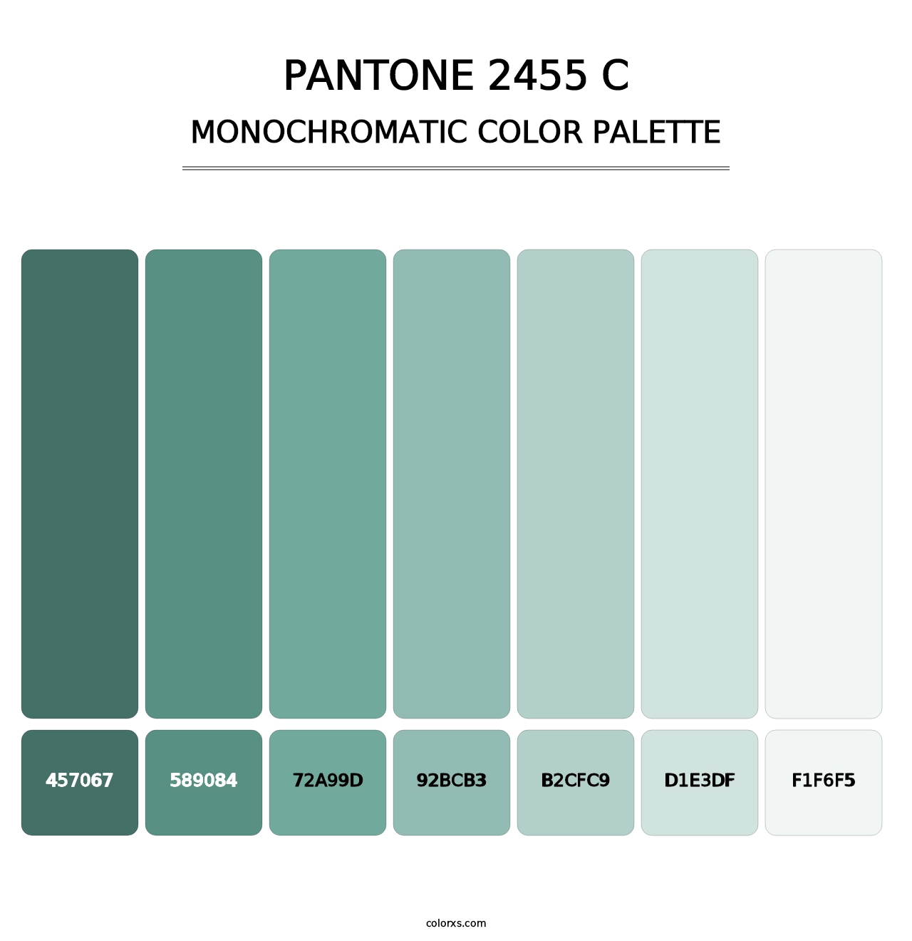 PANTONE 2455 C - Monochromatic Color Palette