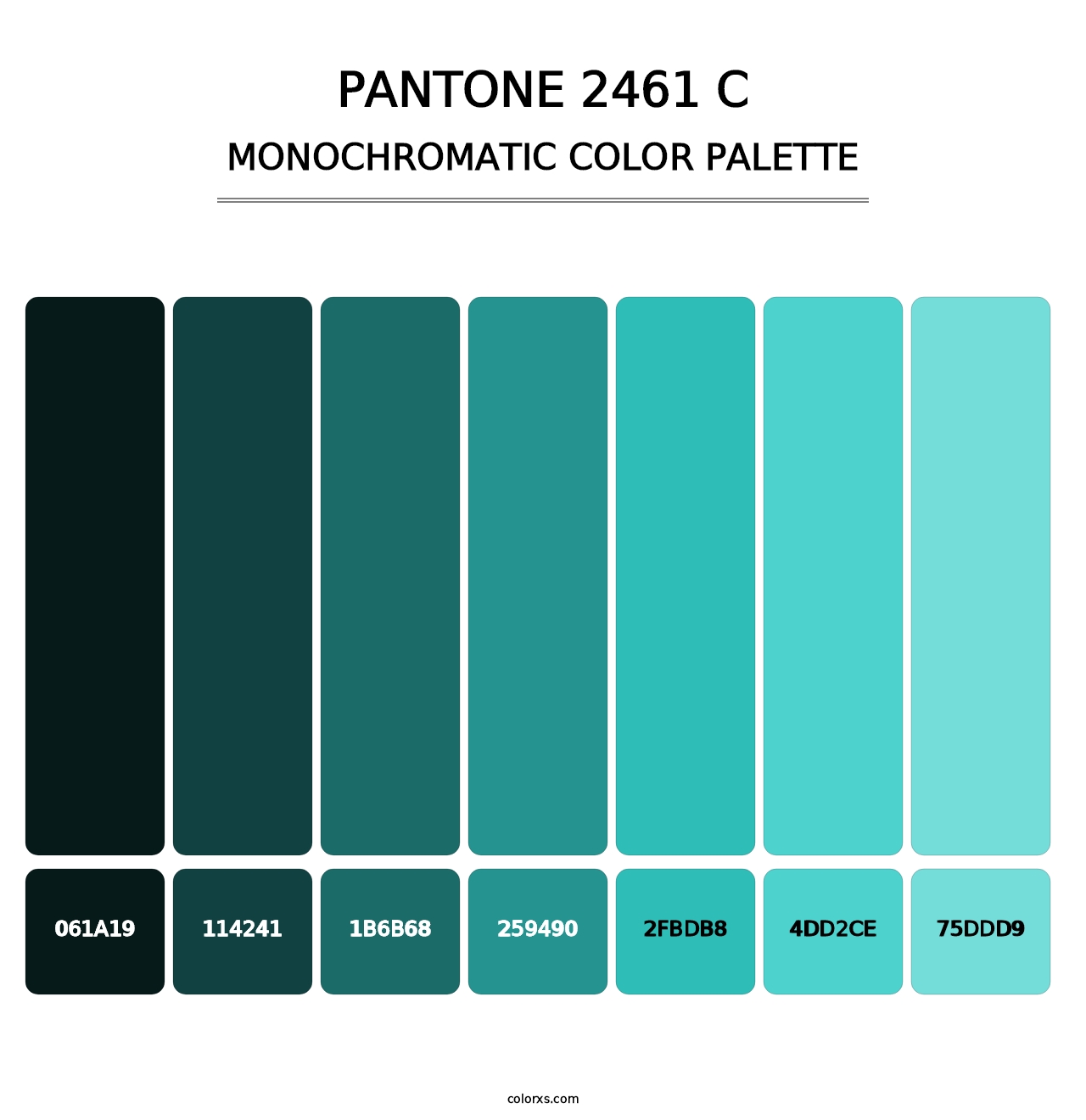 PANTONE 2461 C - Monochromatic Color Palette