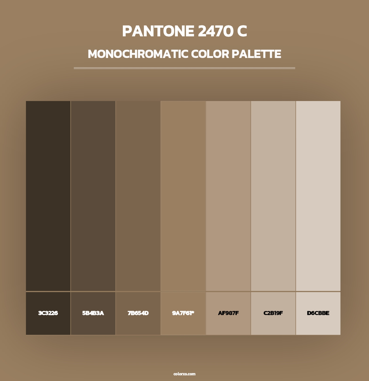 PANTONE 2470 C - Monochromatic Color Palette