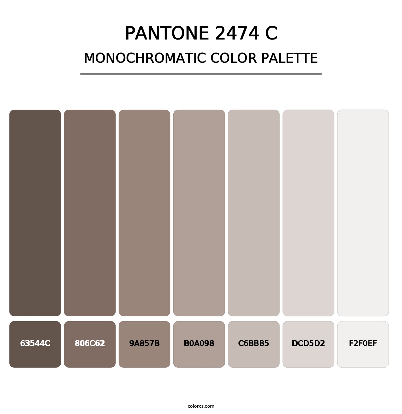 PANTONE 2474 C - Monochromatic Color Palette