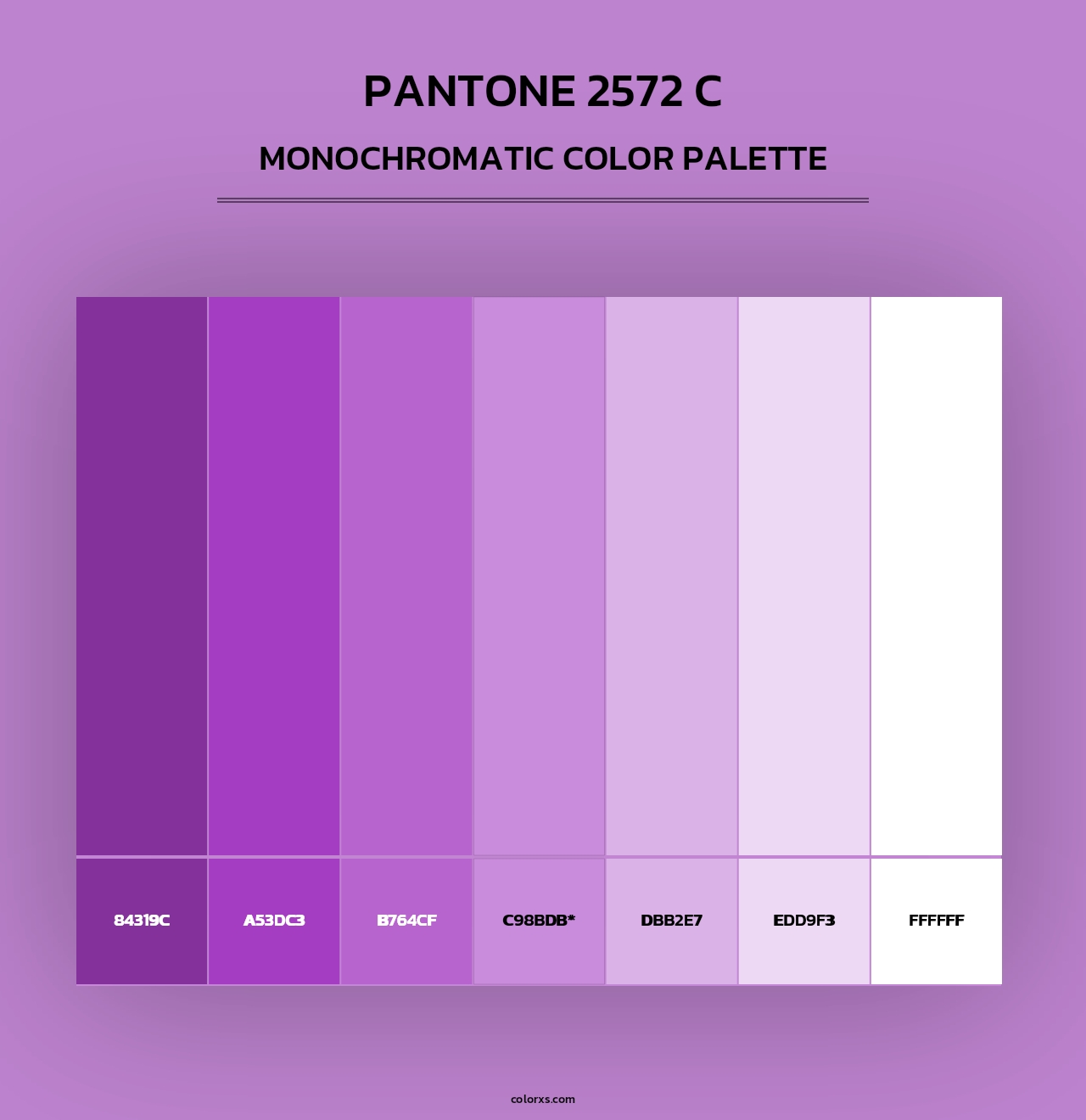 PANTONE 2572 C - Monochromatic Color Palette
