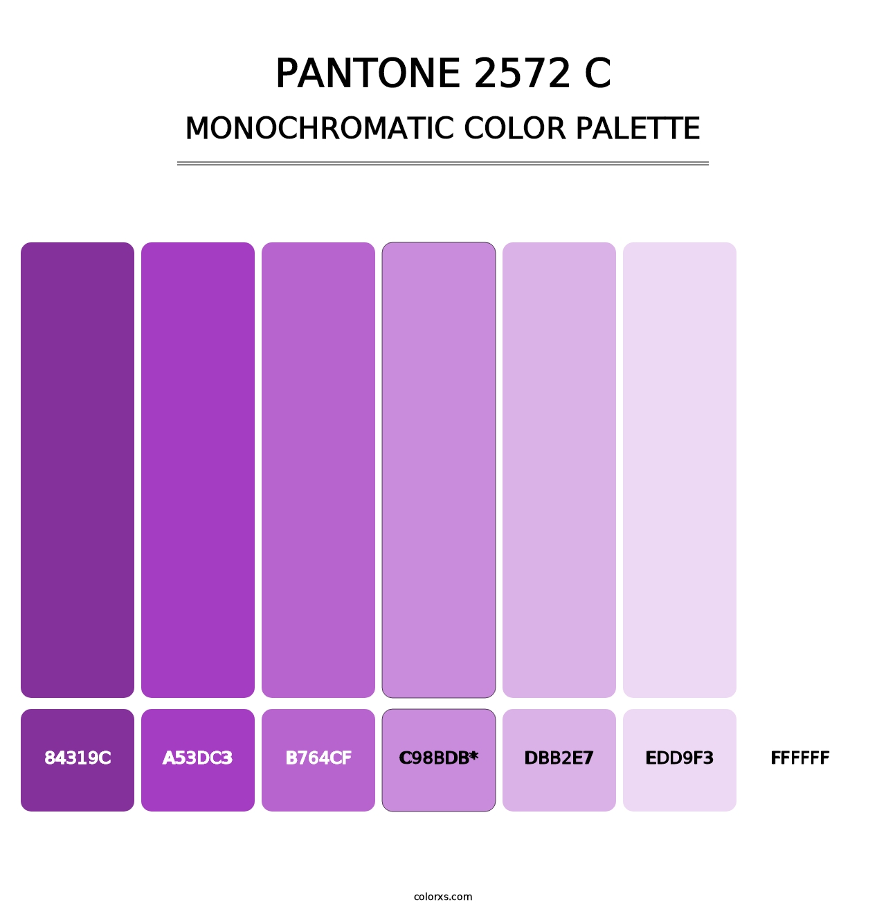 PANTONE 2572 C - Monochromatic Color Palette