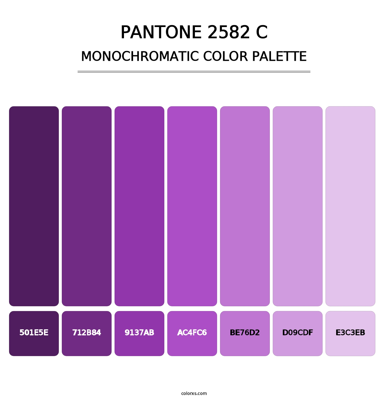 PANTONE 2582 C - Monochromatic Color Palette