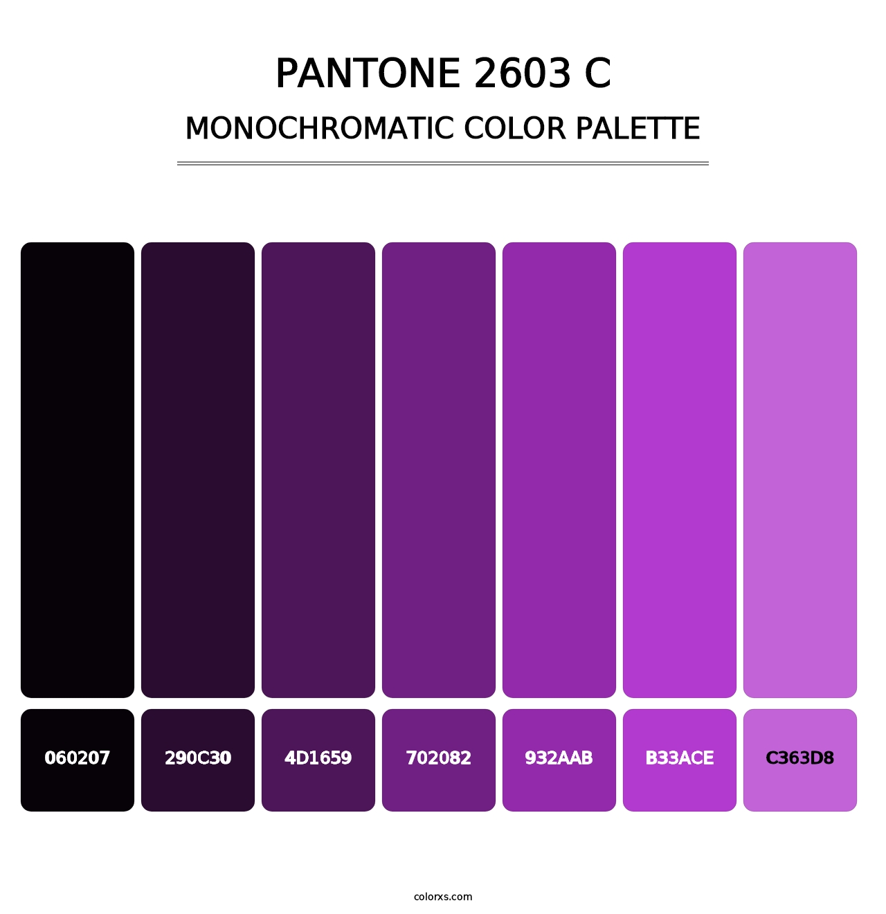 PANTONE 2603 C - Monochromatic Color Palette